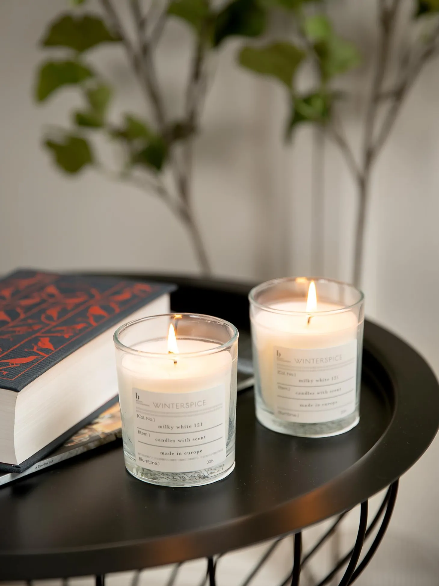 Candela Profumata Winter (Cannella)