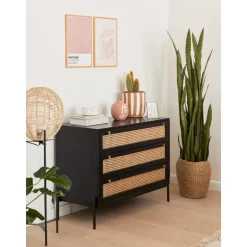 Cassettiera Con Intreccio Viennese Vienna