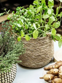 Cesto In Fibra Naturale Hang