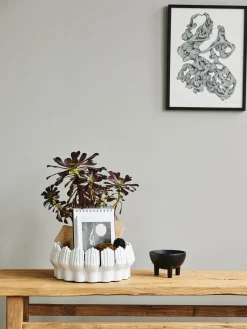 Ciotola Decorativa Grande In Ceramica Anice