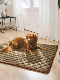 Copertina Per Animali Oxford, Varie Misure