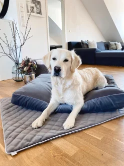 Copertina Per Animali Oxford, Varie Misure