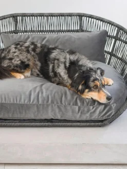 Cuccia Da Interno-Esterno Prado