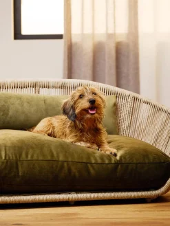 Cuccia Da Interno-Esterno Vogue