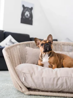 Cuccia Da Interno-Esterno Vogue