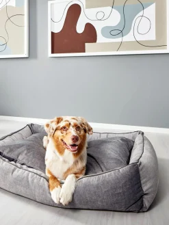 Cuccia In Velluto Glam, Varie Misure