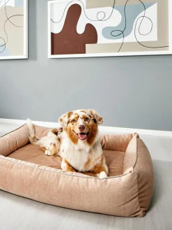 Cuccia In Velluto Glam, Varie Misure