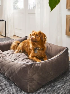 Cuccia Per Cani In Velluto Oxford, Varie Misure