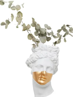 Decorazione Da Parete Fatta A Mano Con Funzione Ciotola Apollo