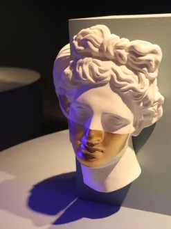 Decorazione Da Parete Fatta A Mano Con Funzione Ciotola Apollo