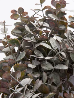 Ghirlanda Di Eucalipto Artificiale Eurelia