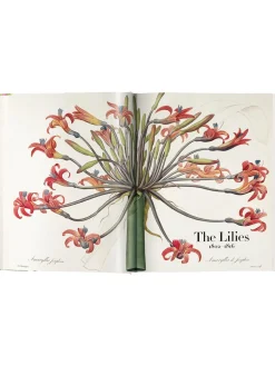 Libro Illustrato Book Of Flowers