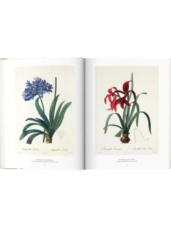 Libro Illustrato Book Of Flowers