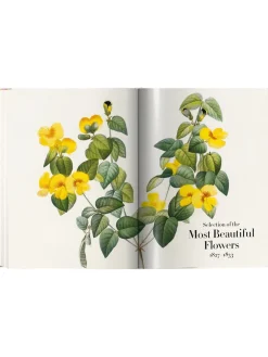 Libro Illustrato Book Of Flowers