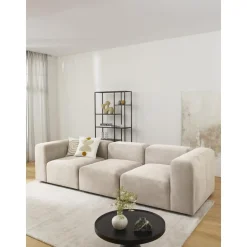 Modulo Centrale Lena