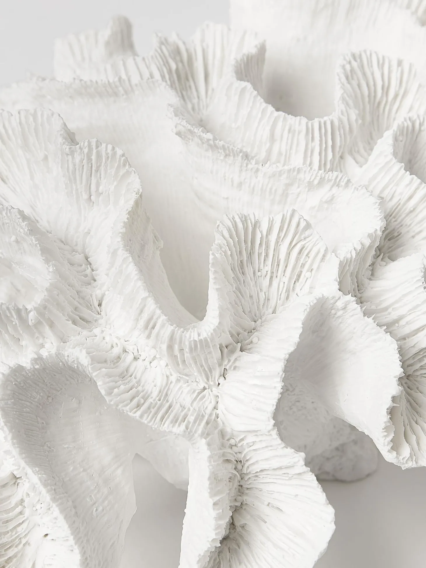 Oggetto Decorativo Di Design Coral