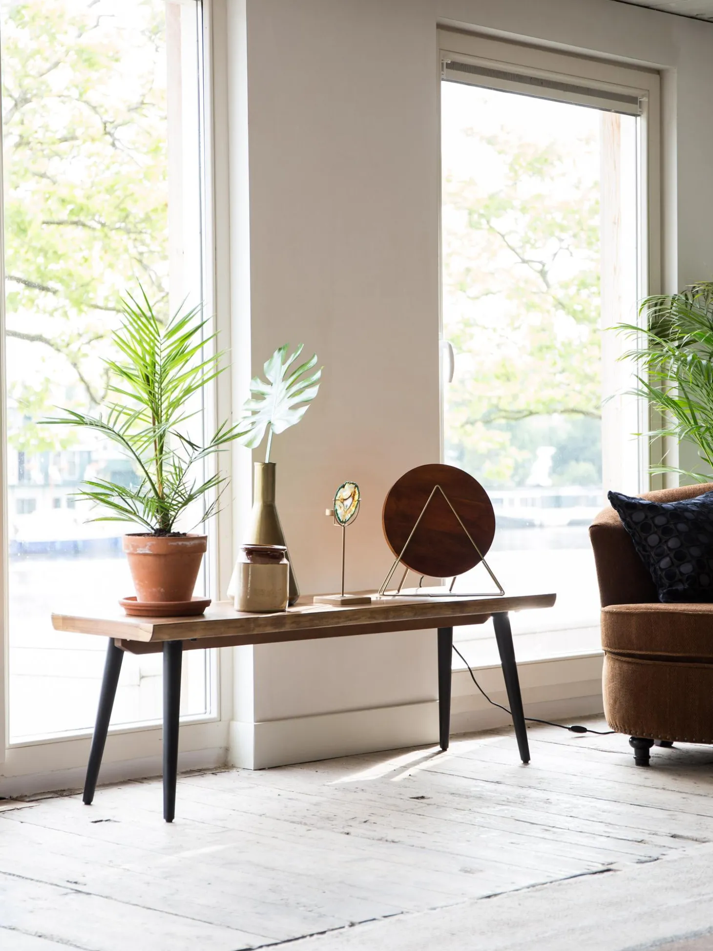 Panca Con Bordo Albero Alagon