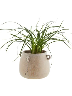 Portavaso Xs In Gres Effetto Vintage Rings