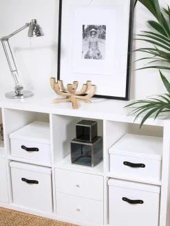 Scatola Con Coperchio Texas