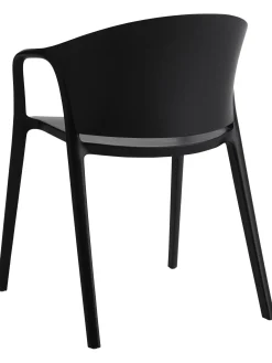 Sedia Con Braccioli In Plastica Monti 2 Pz