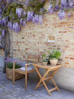 Sedia Da Giardino In Legno Di Teak Oxford