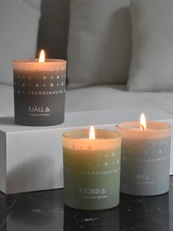 Set 3 Candele Profumate Explore