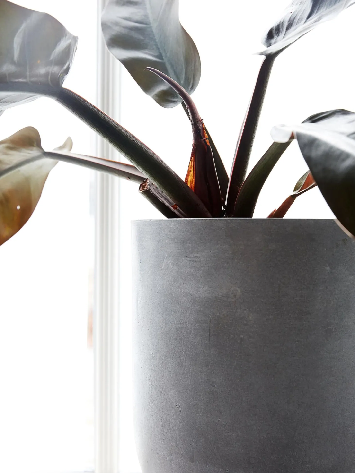 Set 3 Portavasi In Cemento Gard