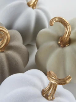 Set 4 Zucche Decorative Mercy