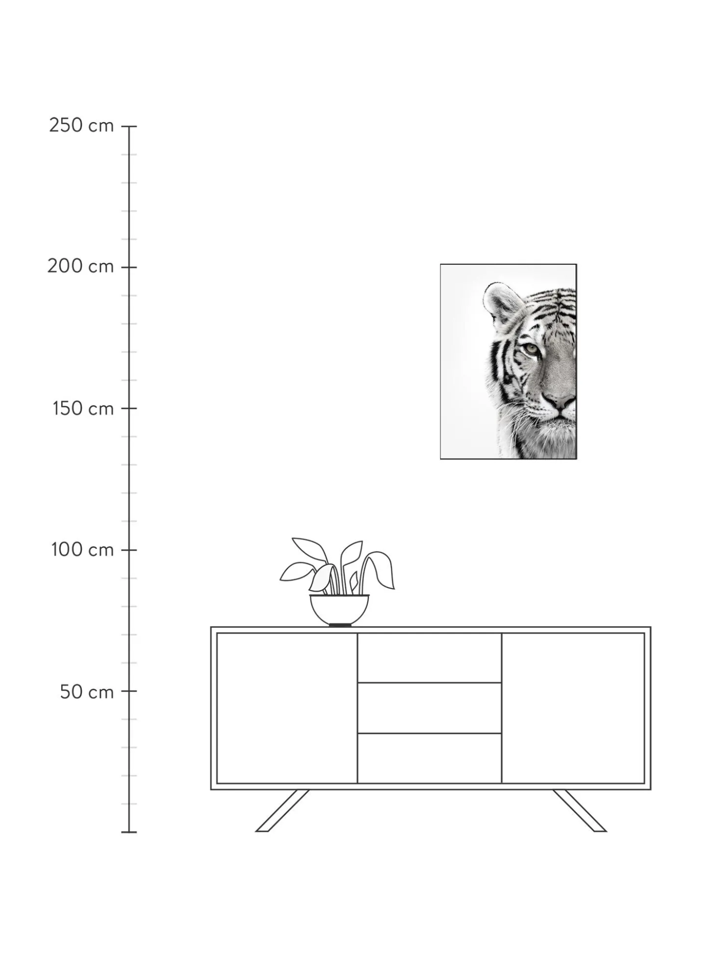 Stampa Digitale Incorniciata White Tiger