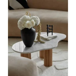 Tavolino Da Salotto In Marmo Dalla Forma Organica Naruto