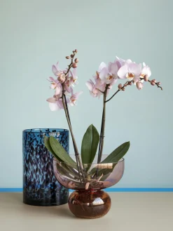 Vaso Di Design In Vetro Soffiato Rosa/Ambrato Show