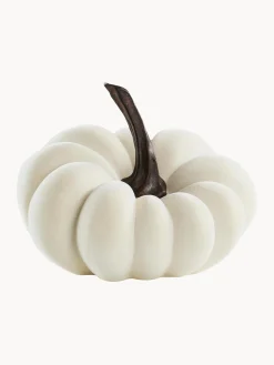 Zucca Decorativa Pepo