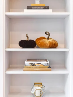 Zucca Decorativa Pumpis