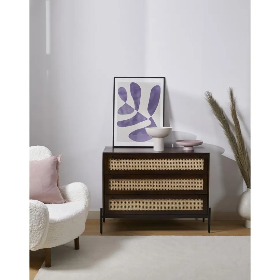 Cassettiera Con Intreccio Viennese Vienna