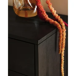 Cassettiera In Legno Di Mango Luca