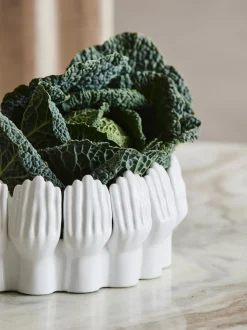 Ciotola Decorativa Grande In Ceramica Anice