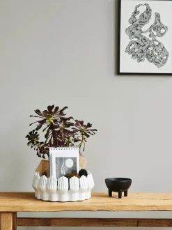 Ciotola Decorativa Grande In Ceramica Anice