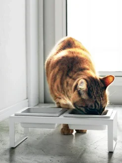 Ciotole Per Animali Con Supporto Tower