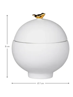 Contenitore Con Coperchio Vogel