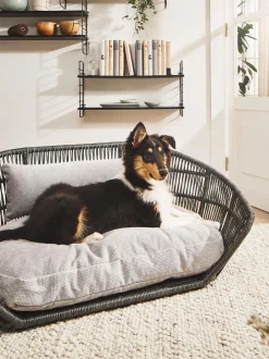 Cuccia Da Interno-Esterno Prado