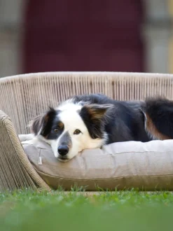 Cuccia Da Interno-Esterno Vogue