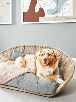 Cuccia Da Interno-Esterno Vogue