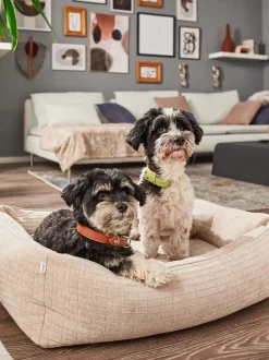 Cuccia In Velluto A Coste Nova, Varie Misure