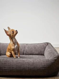 Cuccia In Velluto A Coste Nova, Varie Misure
