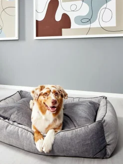 Cuccia In Velluto Glam, Varie Misure