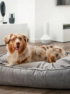 Cuccia In Velluto Glam, Varie Misure