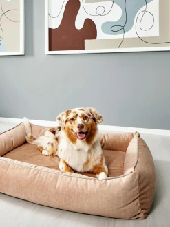 Cuccia In Velluto Glam, Varie Misure