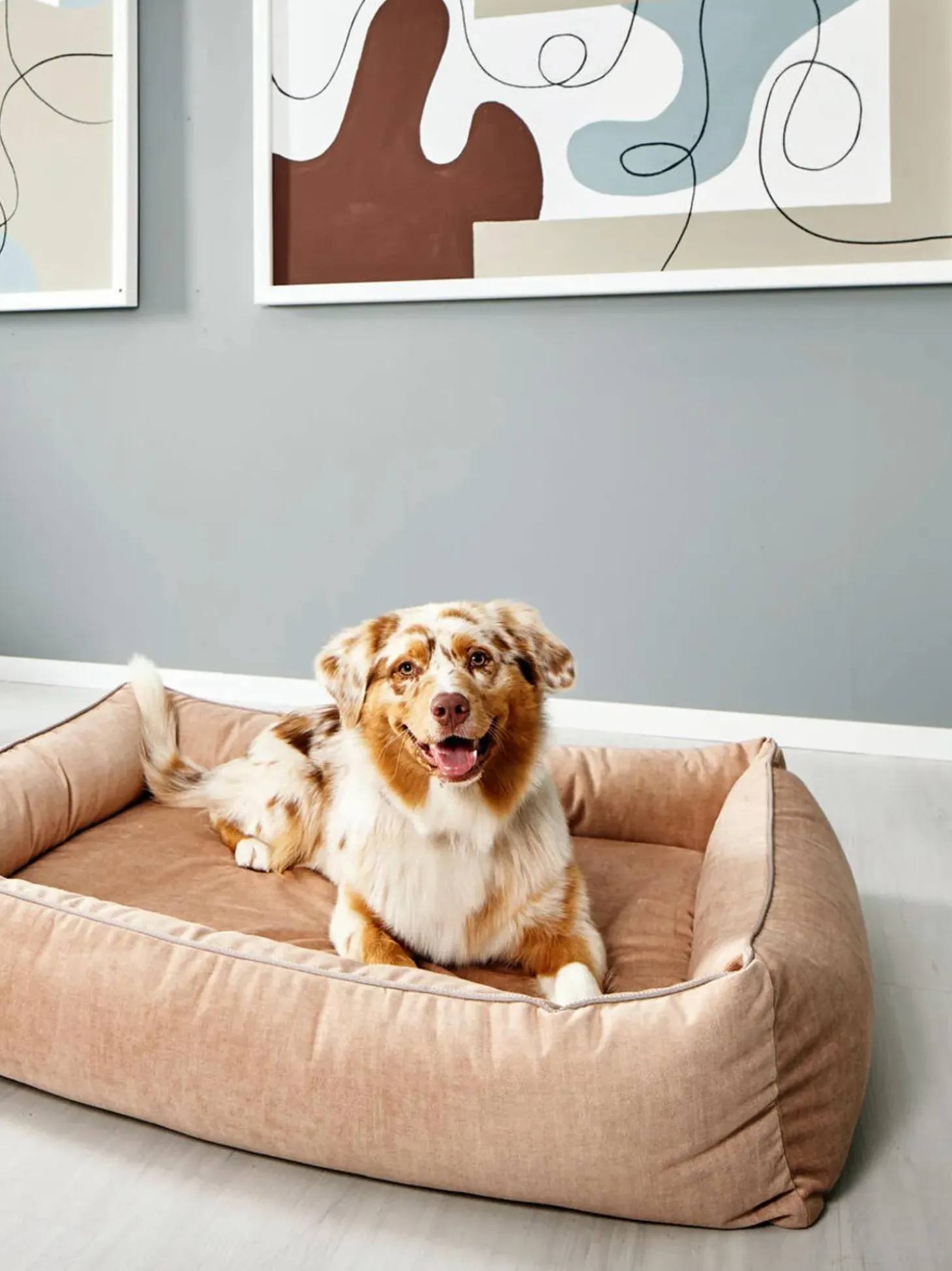 Cuccia In Velluto Glam, Varie Misure