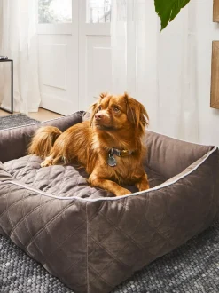 Cuccia Per Cani In Velluto Oxford, Varie Misure