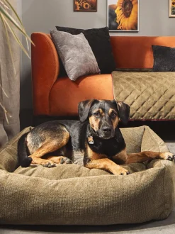 Cuccia Per Cani Tudor, Varie Misure